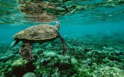 Já pensou em estudar Oceanografia na Rússia?